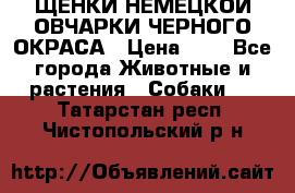 ЩЕНКИ НЕМЕЦКОЙ ОВЧАРКИ ЧЕРНОГО ОКРАСА › Цена ­ 1 - Все города Животные и растения » Собаки   . Татарстан респ.,Чистопольский р-н